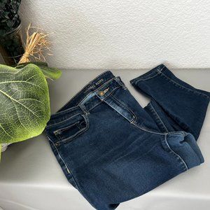 Michael Kors Izzy Skinny Dark Wash Jeans Size: 10